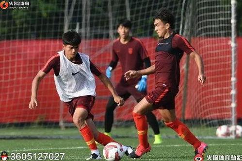 职业球员爆料喝酒视频播放,揭秘球场背后的真实生活  第2张